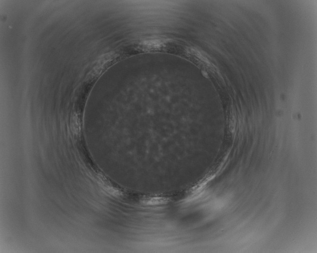 X0000073860467200608170947