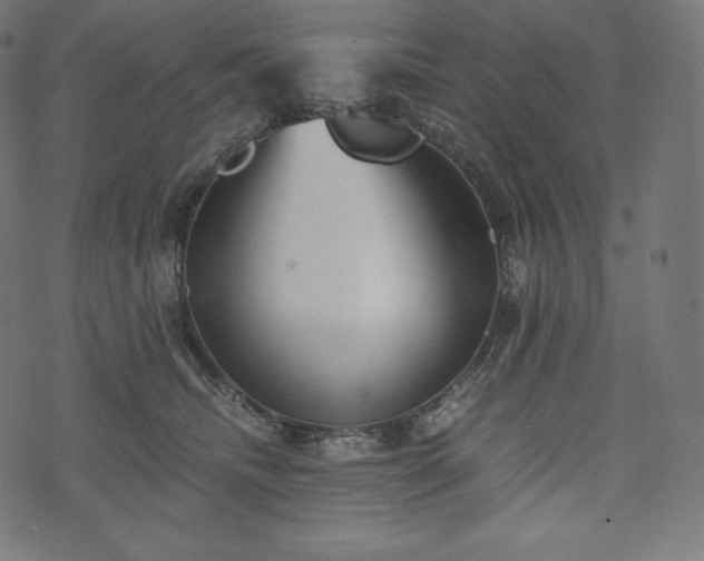 X0000073860468200608170947