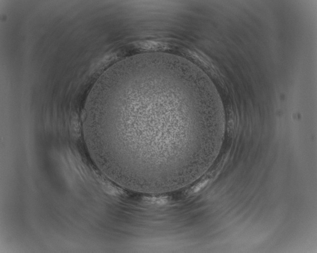 X0000073860469200608170947