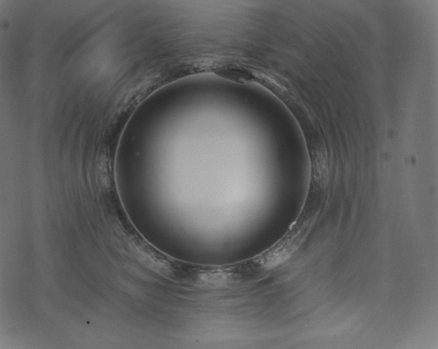 X0000073860470200608170947