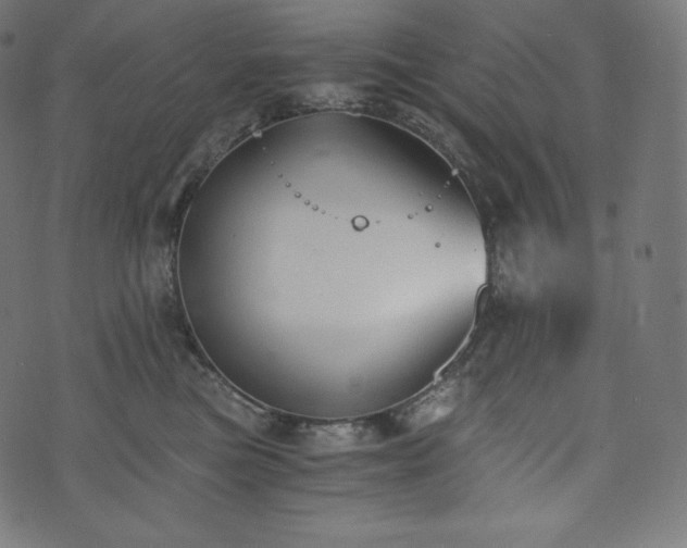 X0000073860473200608170947