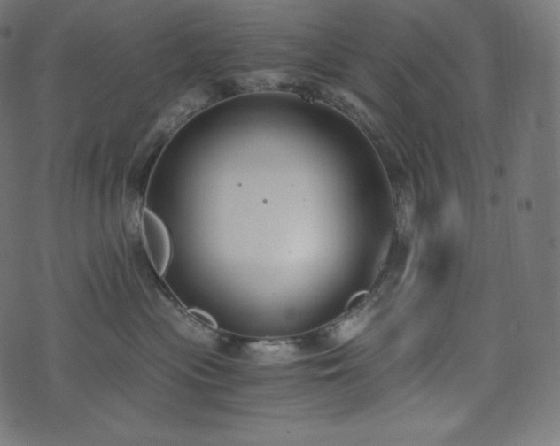 X0000073860477200608170947