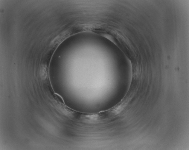 X0000073860478200608170947