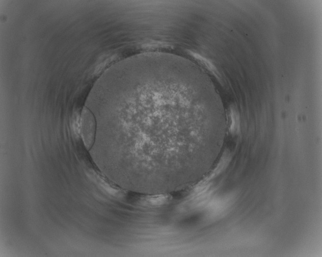 X0000073860479200608170947