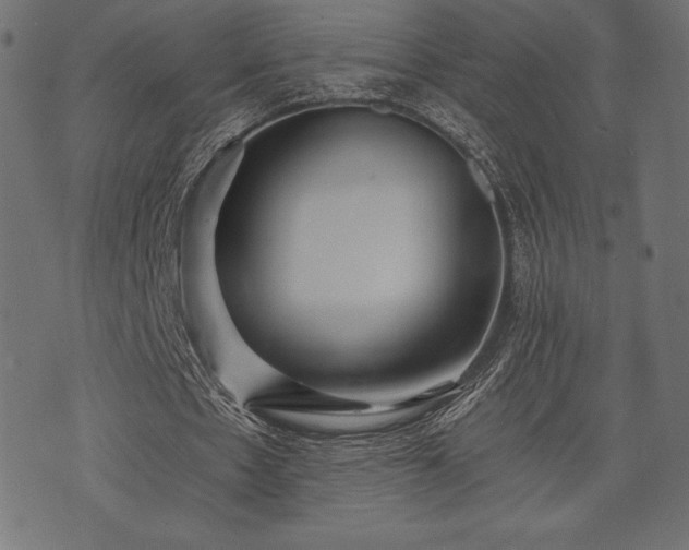 X0000073860481200608170946