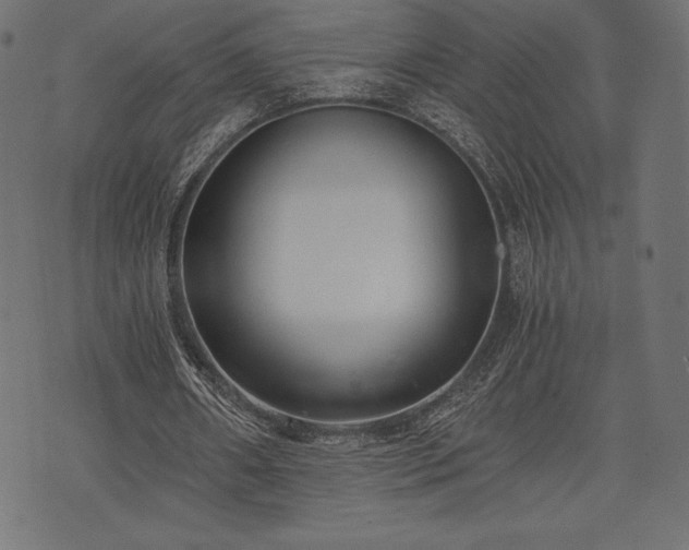 X0000073860482200608170946