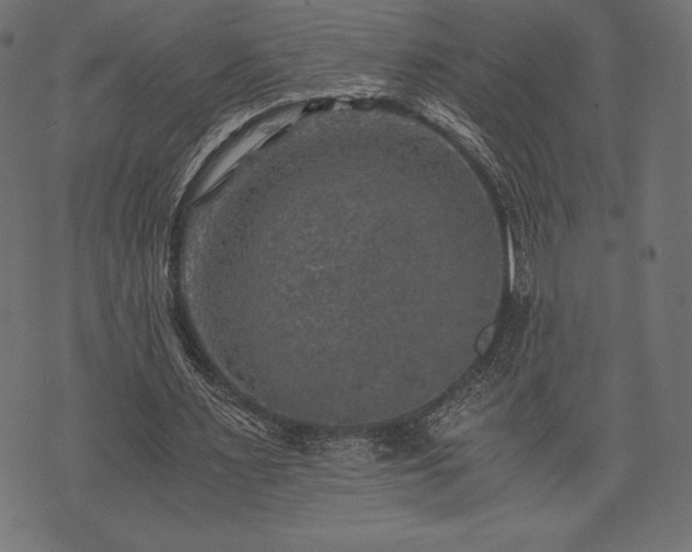 X0000073860483200608170946