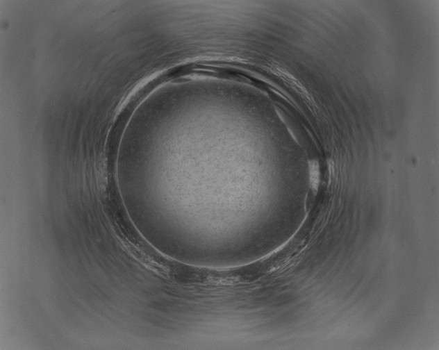 X0000073860484200608170946