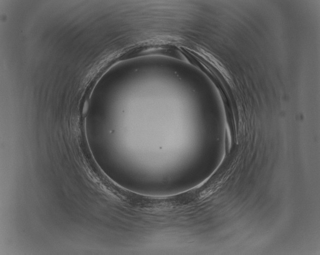 X0000073860485200608170946