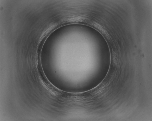 X0000073860486200608170946