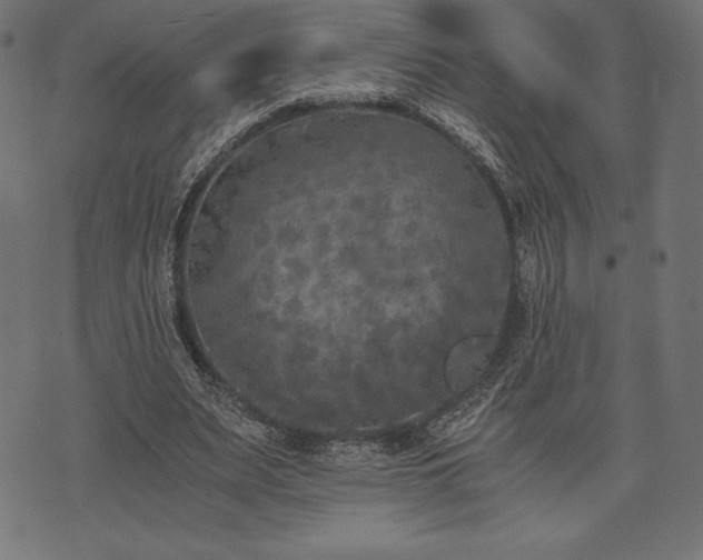 X0000073860487200608170946