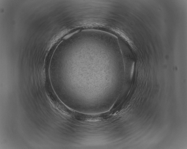 X0000073860488200608170946