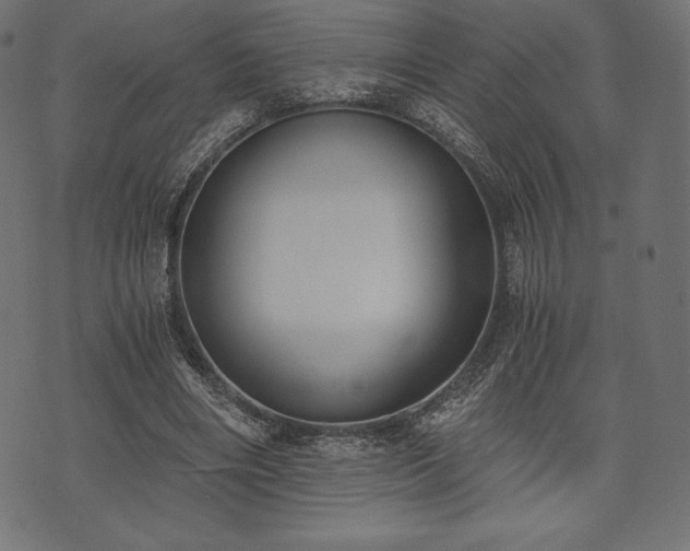 X0000073860490200608170946