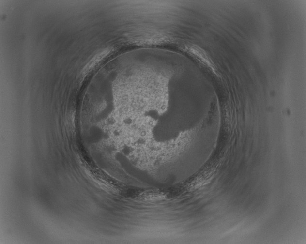 X0000073860491200608170946