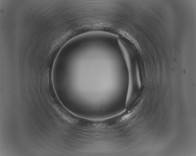 X0000073860493200608170946