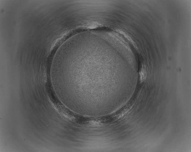 X0000073860496200608170946