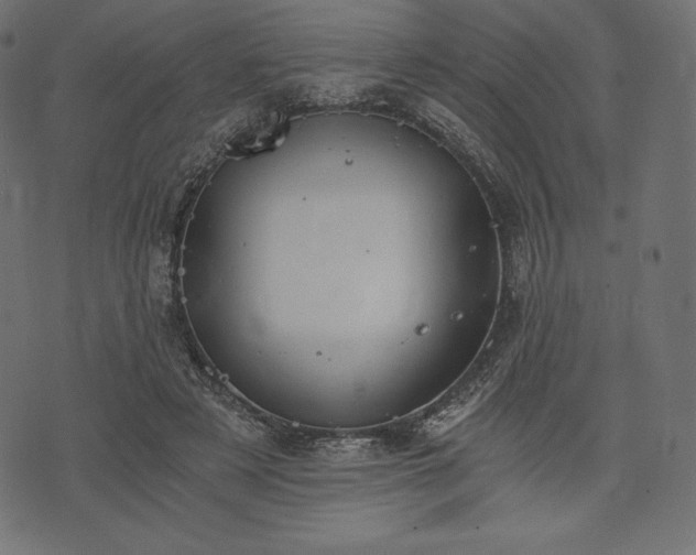 X0000073860497200608170946