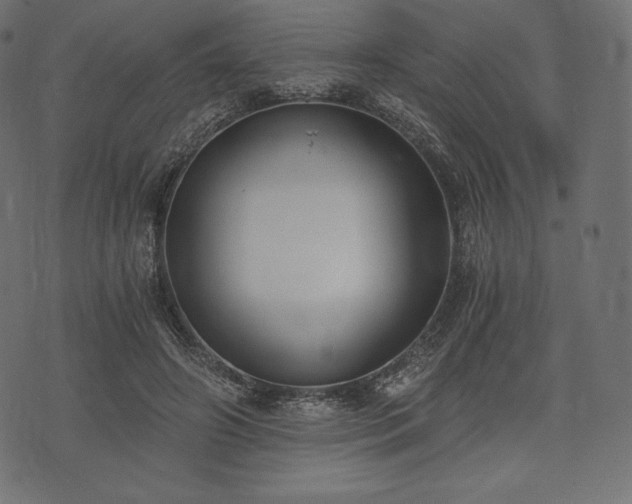 X0000073860498200608170946