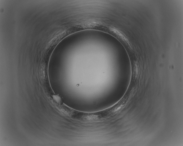 X0000073860501200608170946