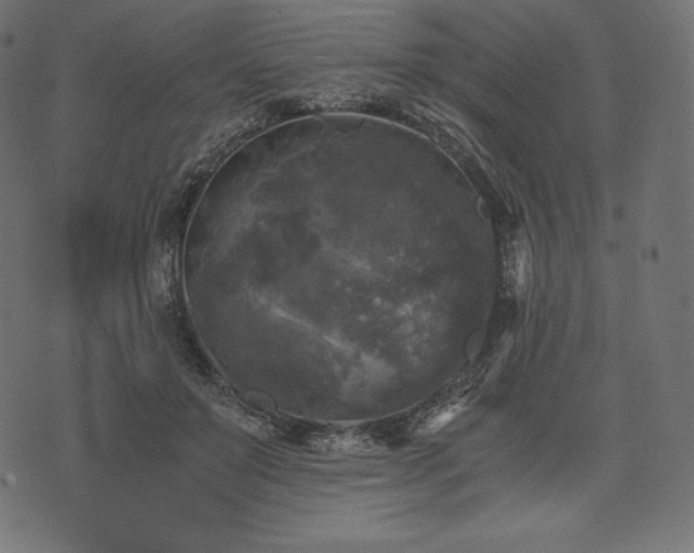 X0000073860503200608170946