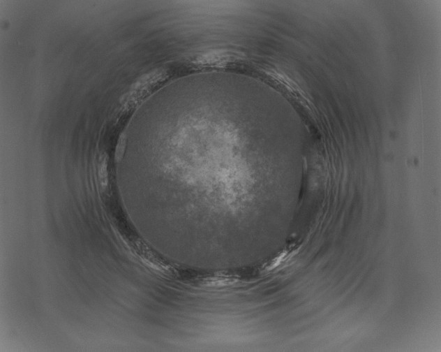 X0000073860504200608170946