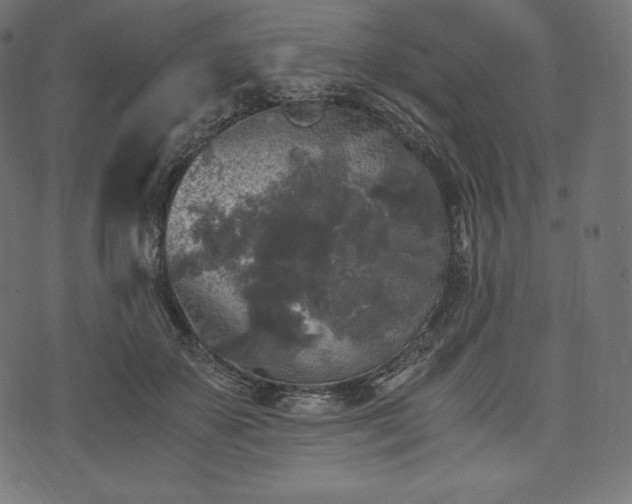 X0000073860507200608170946