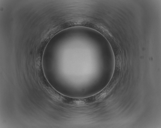 X0000073860509200608170946