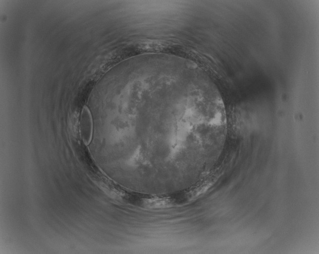 X0000073860511200608170946