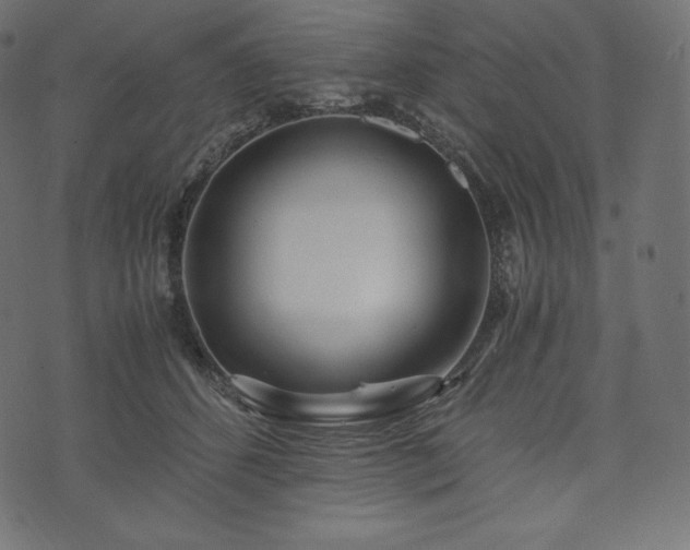 X0000073860512200608170946