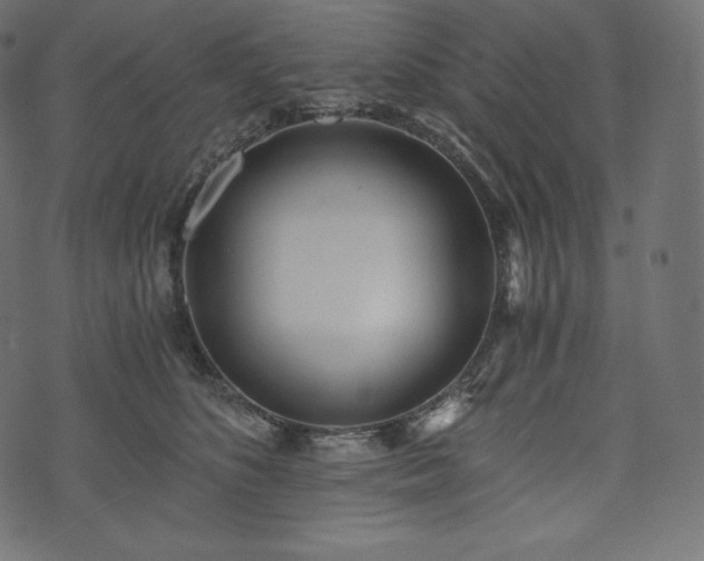 X0000073860516200608170945