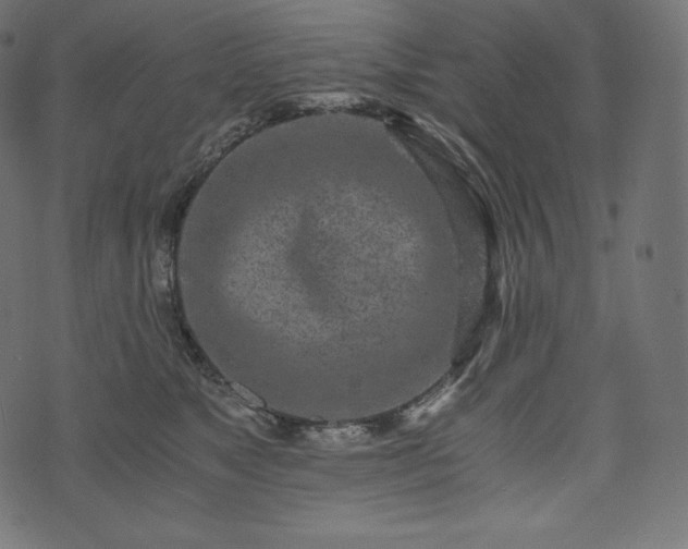 X0000073860517200608170945