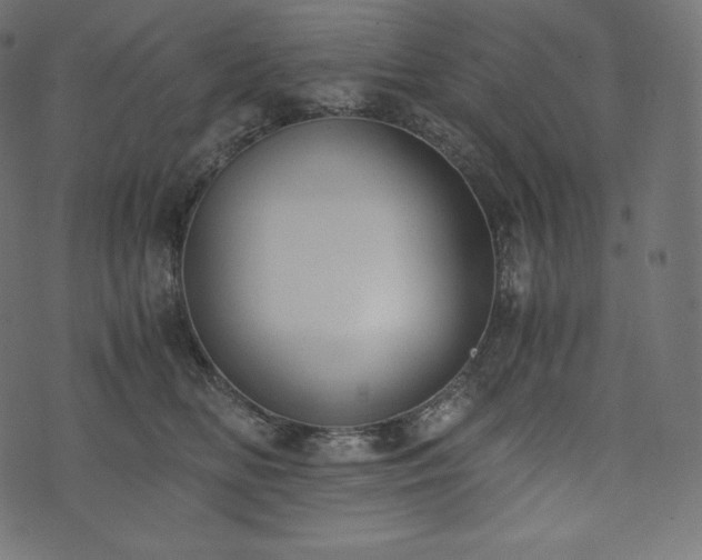 X0000073860518200608170945