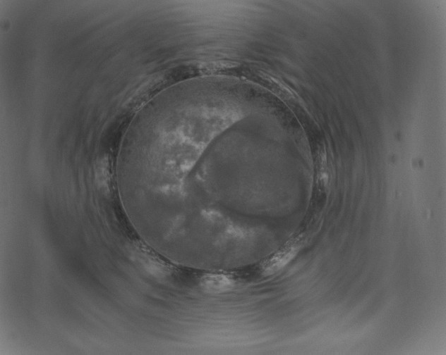 X0000073860519200608170945