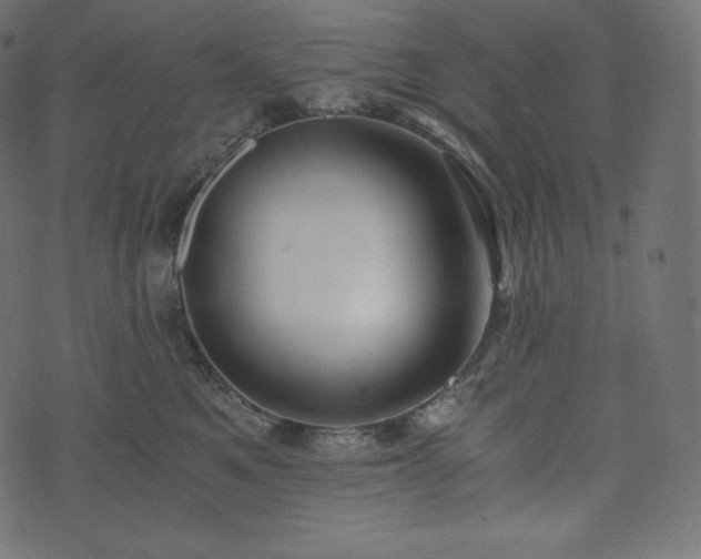 X0000073860521200608170945