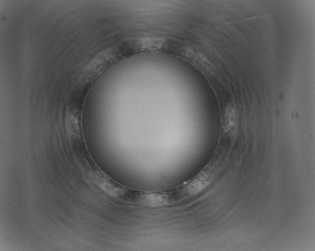 X0000073860522200608170945