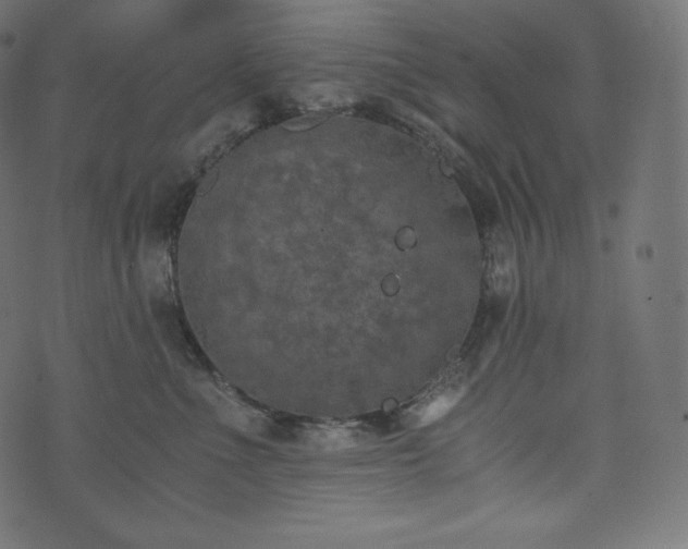 X0000073860523200608170945