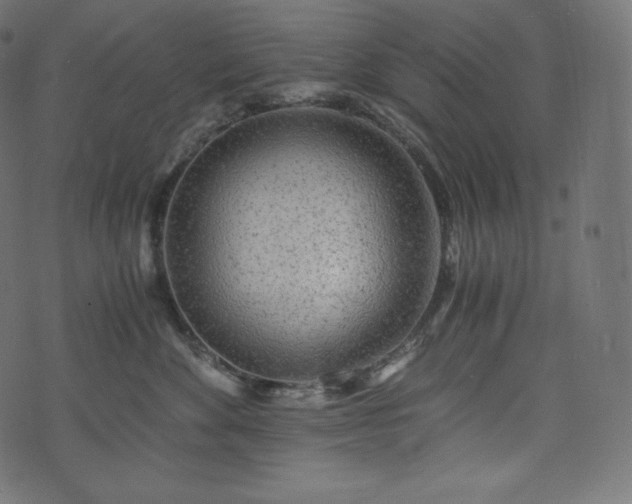 X0000073860524200608170945