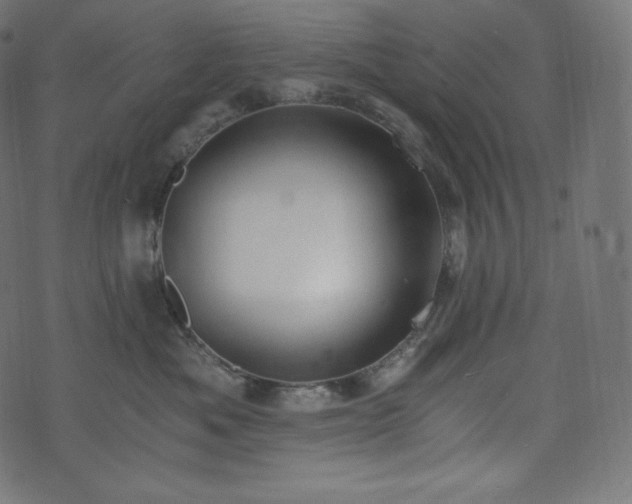 X0000073860525200608170945