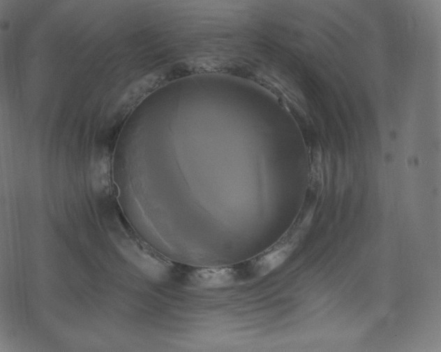 X0000073860526200608170945