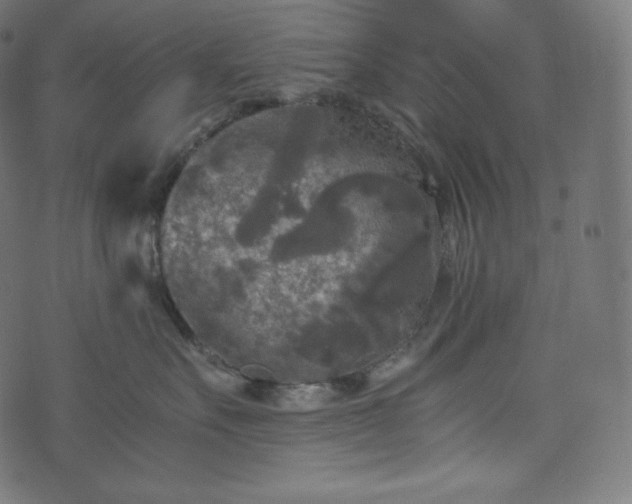 X0000073860527200608170945