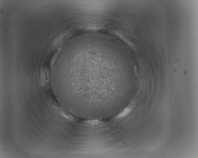 X0000073860528200608170945