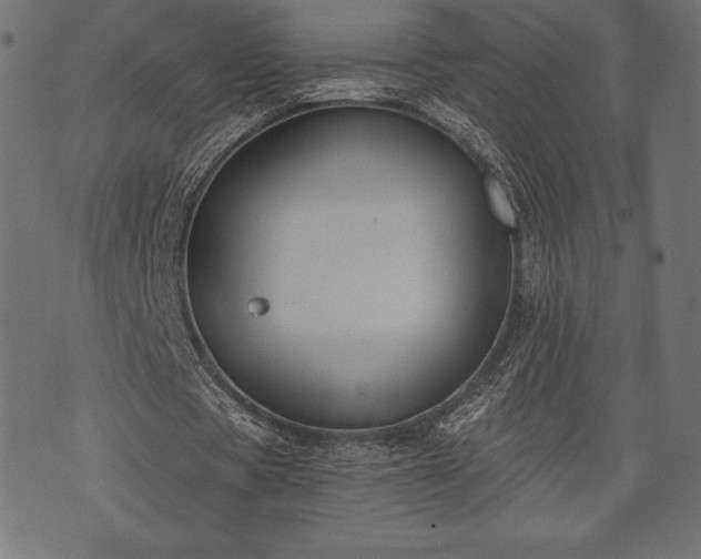 X0000073860529200608170944