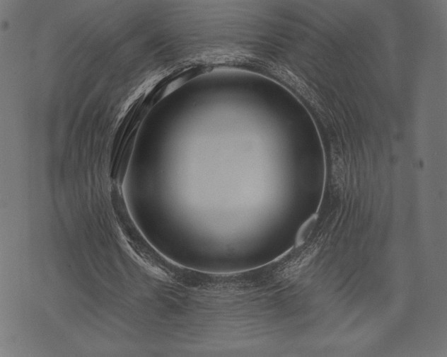 X0000073860530200608170945