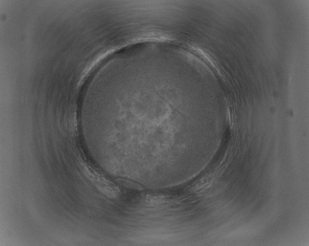 X0000073860531200608170945