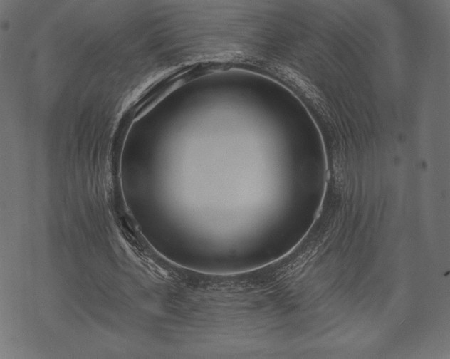 X0000073860532200608170945