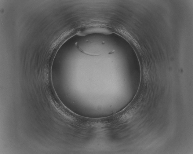 X0000073860533200608170945