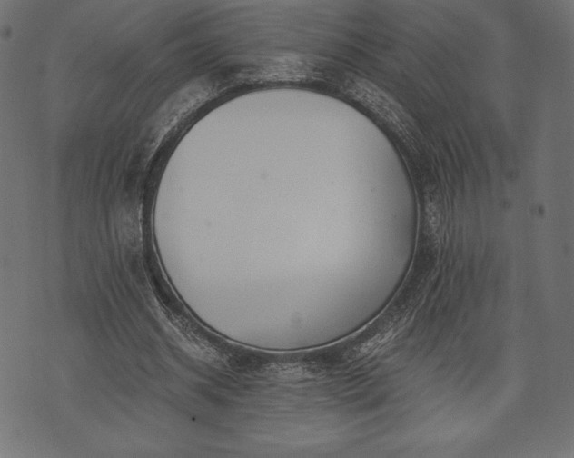 X0000073860534200608170945