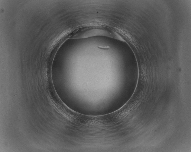 X0000073860535200608170945