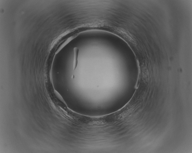 X0000073860536200608170945