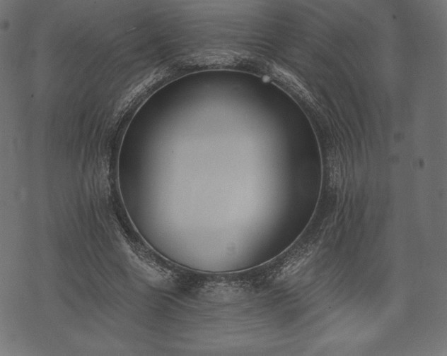 X0000073860538200608170945